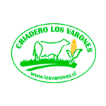logo_los_varones