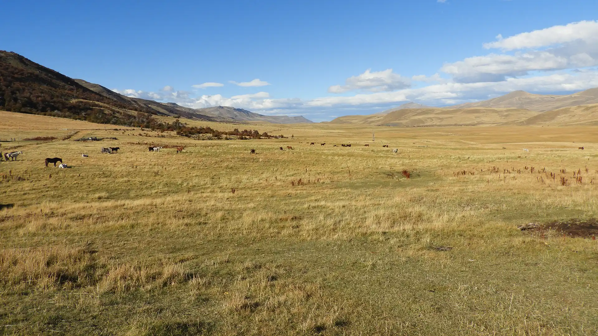Paisaje 3